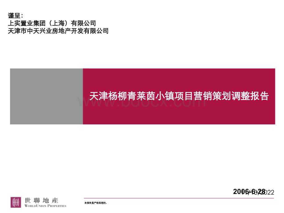 世联地产-天津杨柳青莱茵小镇项目营销策划调整报告(164p)优质PPT.ppt