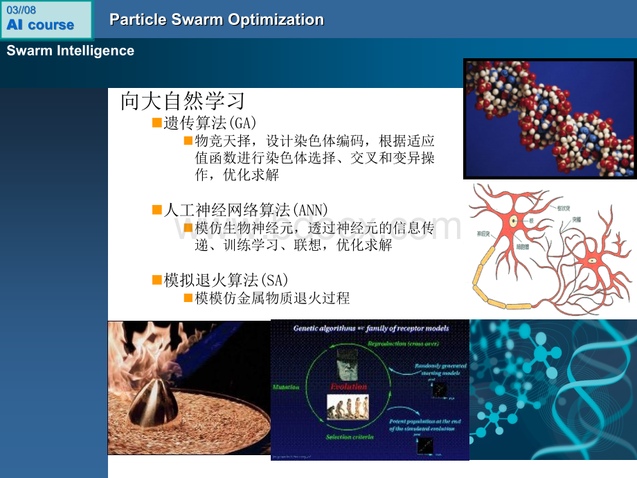 粒子群算法.ppt_第3页