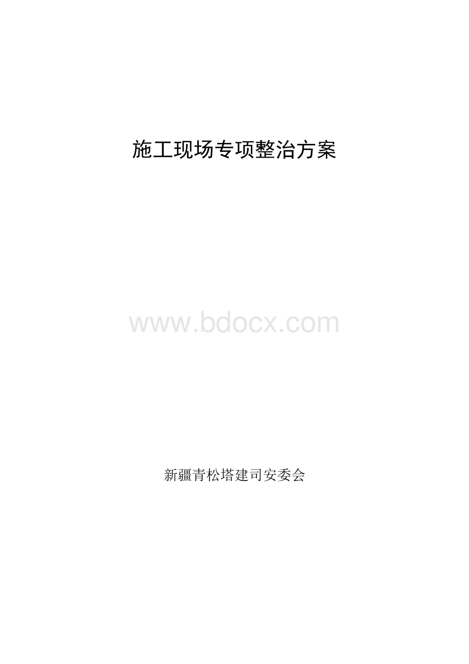 施工现场专项整治方案.doc_第1页