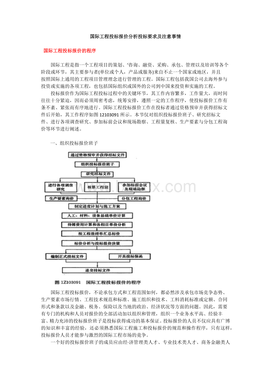 国际工程投标报价分析投标要求及注意事情.docx_第1页