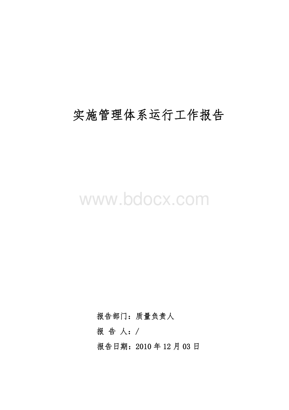 年度管理评审质量负责人体系运行报告Word格式.doc_第1页