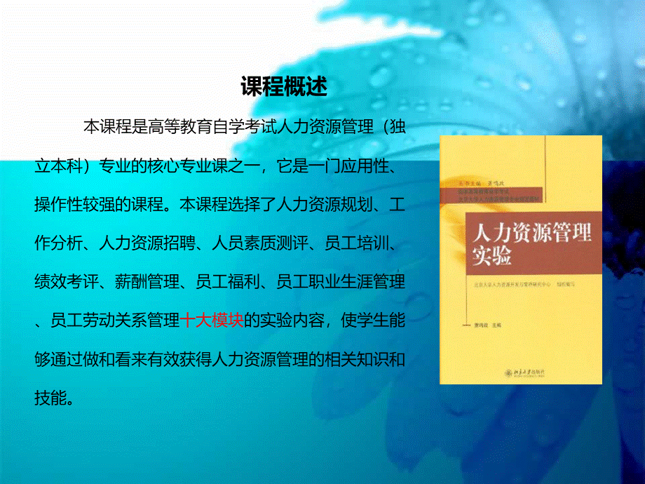 人力资源管理实验（全套课件265P）PPT文件格式下载.ppt_第2页