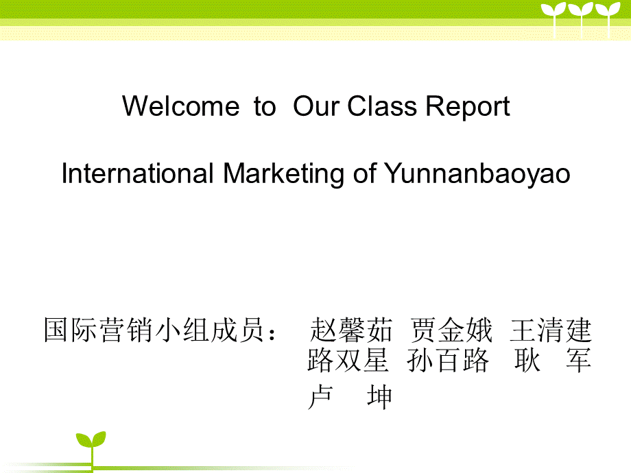 云南白药营销英文版.ppt_第1页