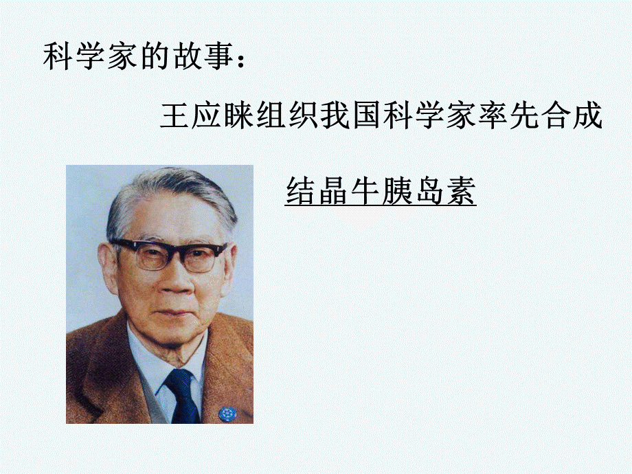 生物人教版七年级下册科学家的故事王应睐组织我国科学家率先合成结晶牛胰岛素.pptx_第2页