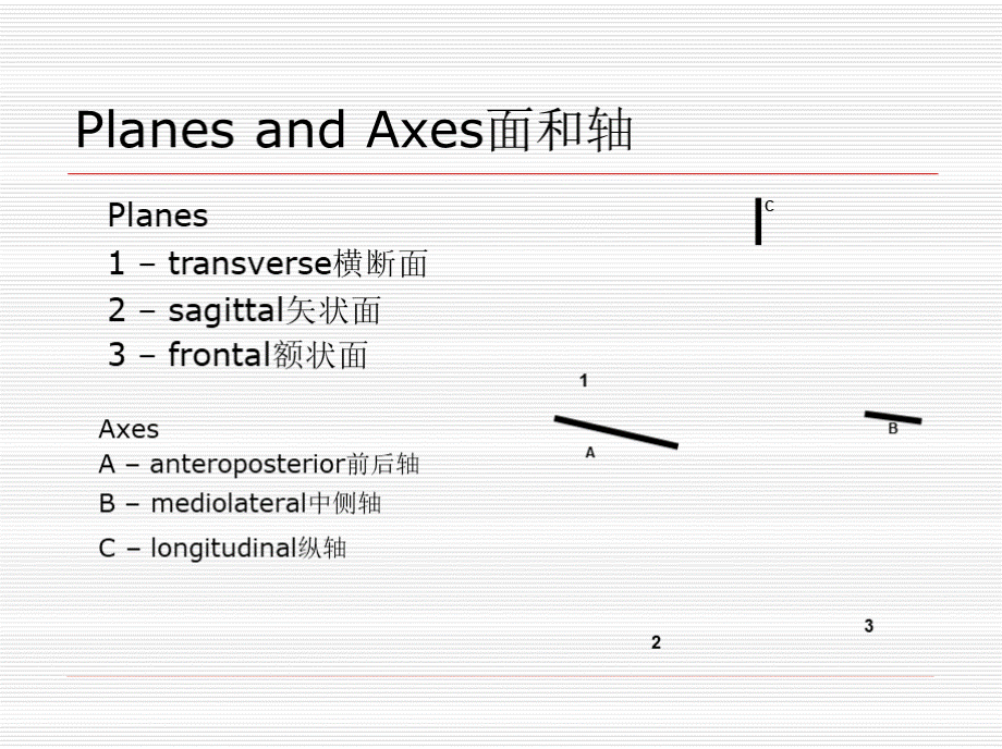 关节松动术PPT.pptx_第2页