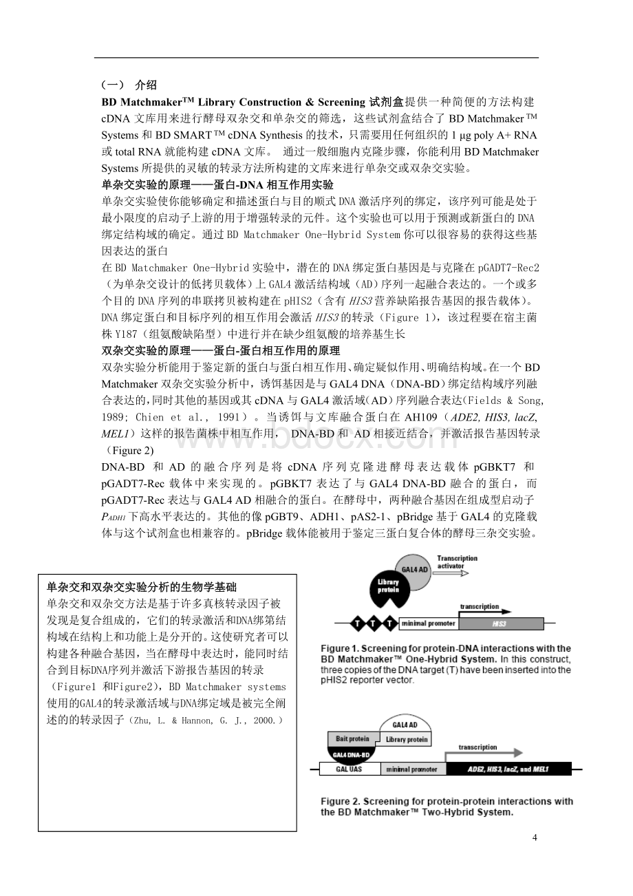 CLONTECH酵母双杂中文版文档格式.doc_第3页