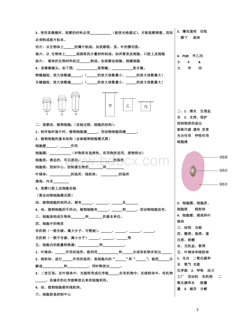 人教版七年级生物上册复习提纲填空版.wps资料文档下载_第2页