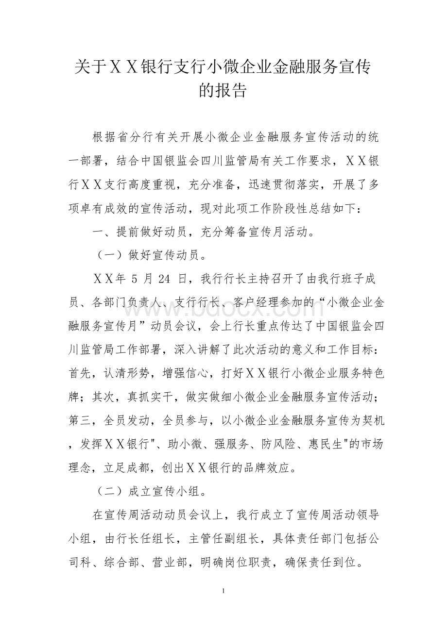 银行支行小微企业金融服务宣传的报告.docx