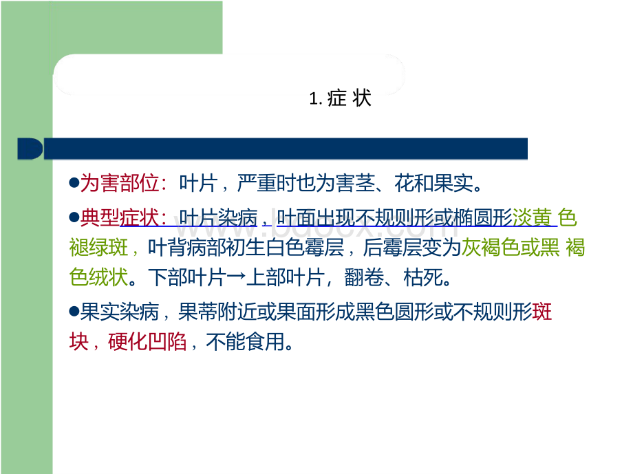 番茄病害医学课件PPT课件下载推荐.pptx_第2页