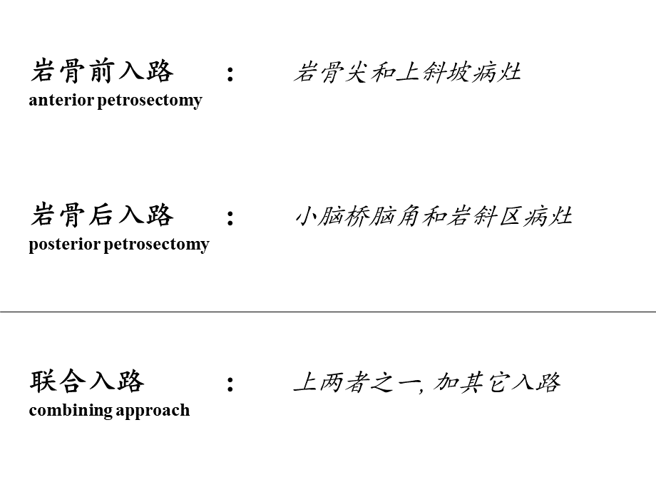 经岩入路外科解剖及技术pptPPT文档格式.ppt_第3页