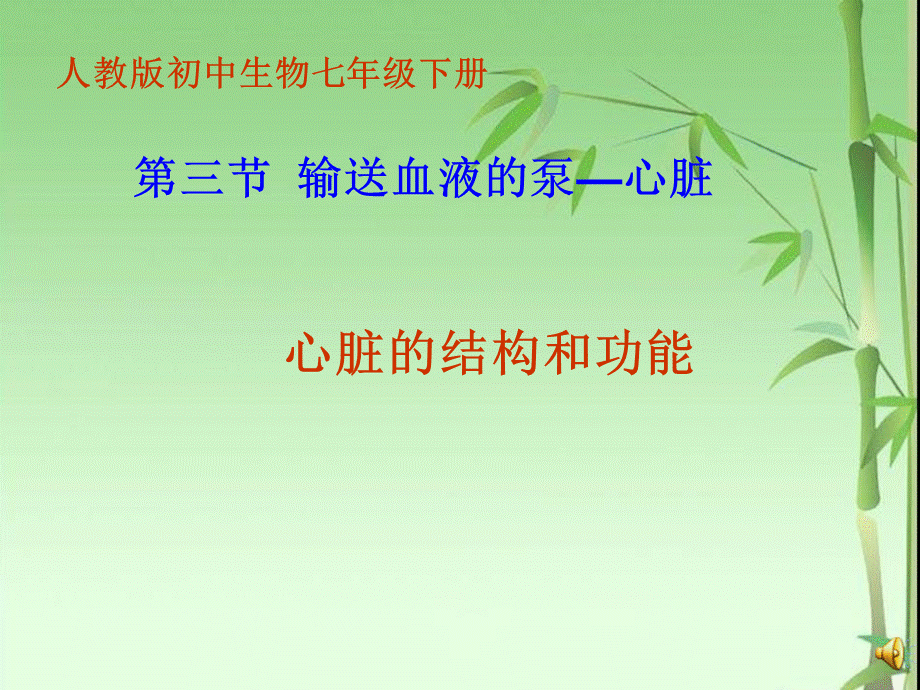 心脏的结构和功能教育课件.ppt_第2页