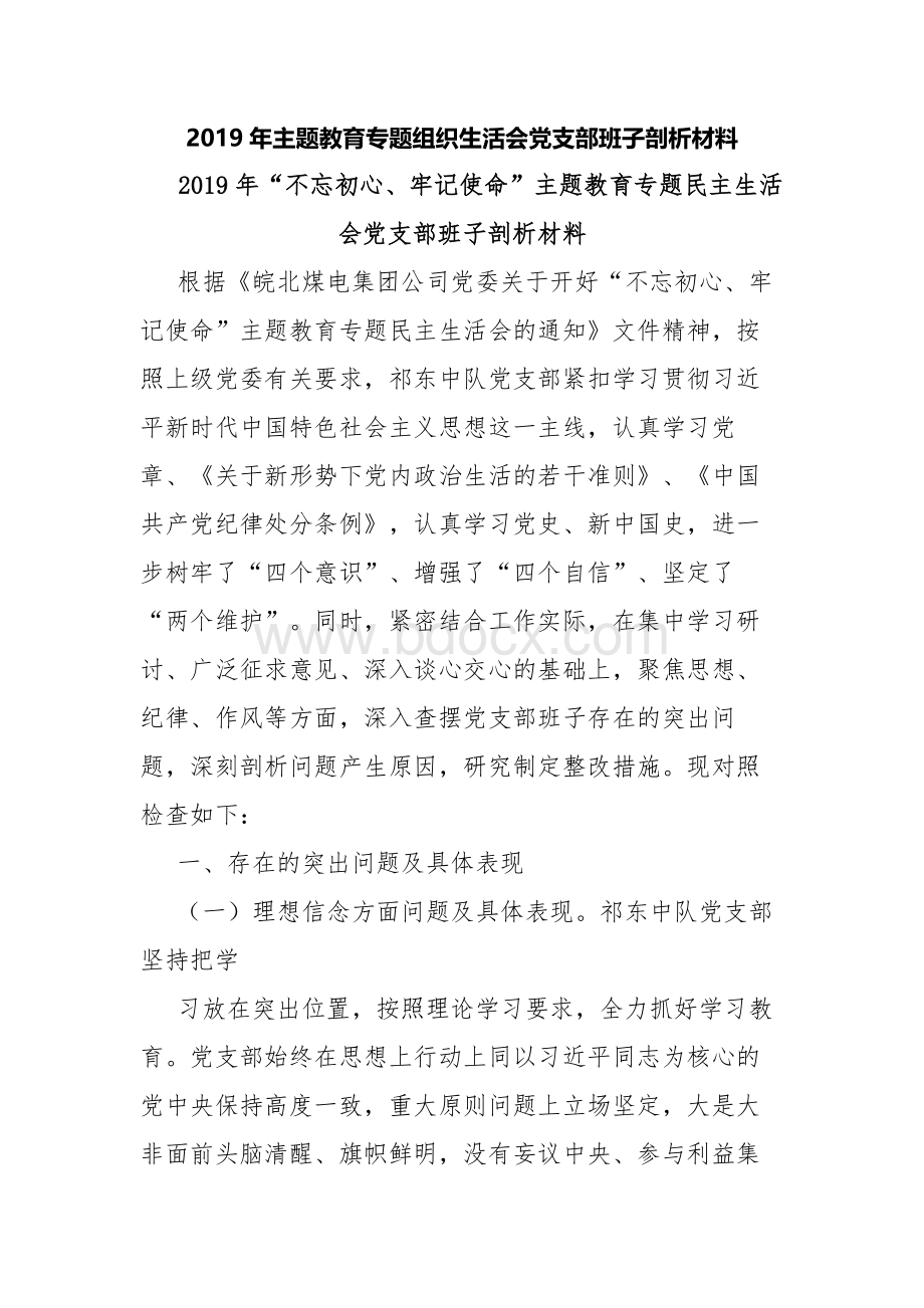 2019年主题教育专题组织生活会党支部班子剖析材料Word格式.docx_第1页