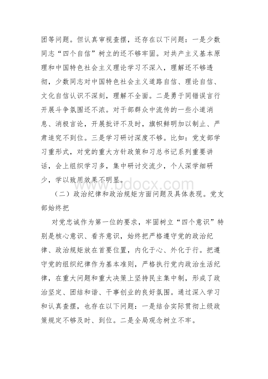 2019年主题教育专题组织生活会党支部班子剖析材料Word格式.docx_第2页