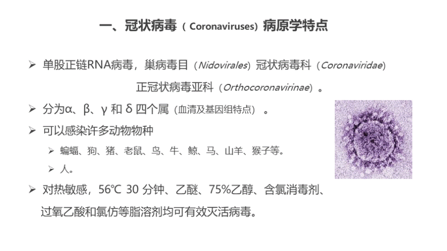 新型冠状病毒感染的肺炎诊疗方案.pptx_第3页