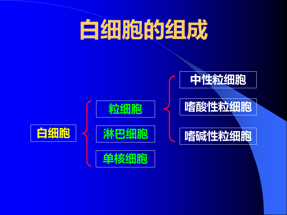 白细胞PPT文件格式下载.ppt_第3页