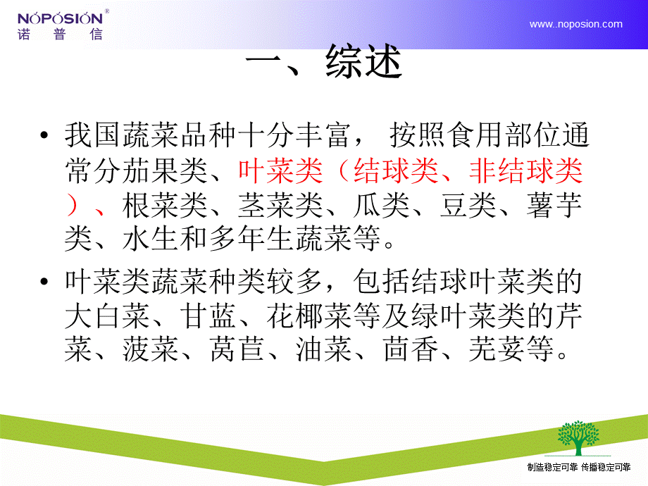 叶菜类病虫害植保知识.ppt_第3页