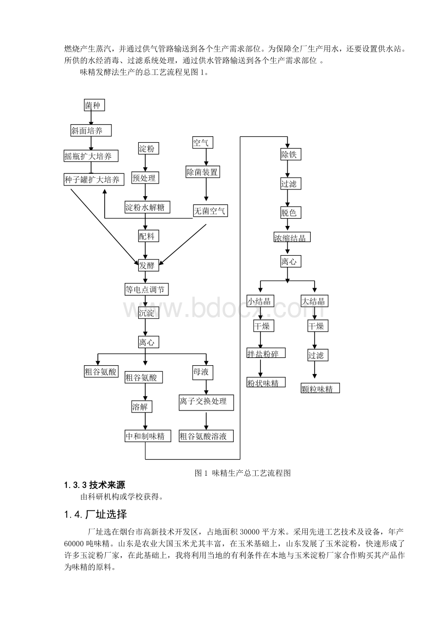 年产60000吨味精工厂项目建议56664909.doc_第2页