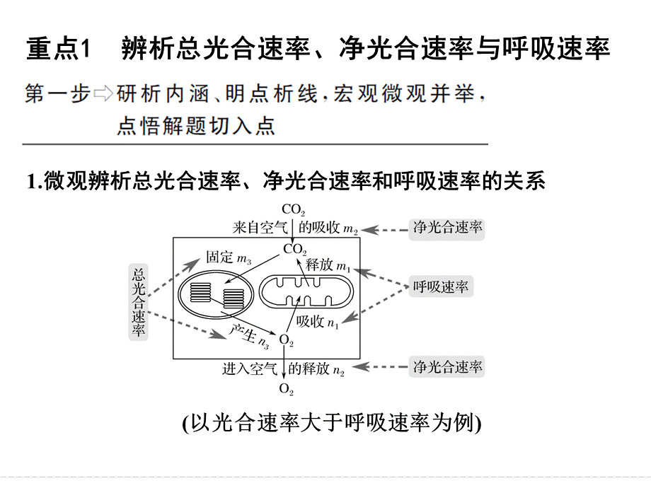 2018届高考生物总复习补上一课2-“三率”测定及相关实验设计课件-(共51张PPT)解析.ppt_第2页