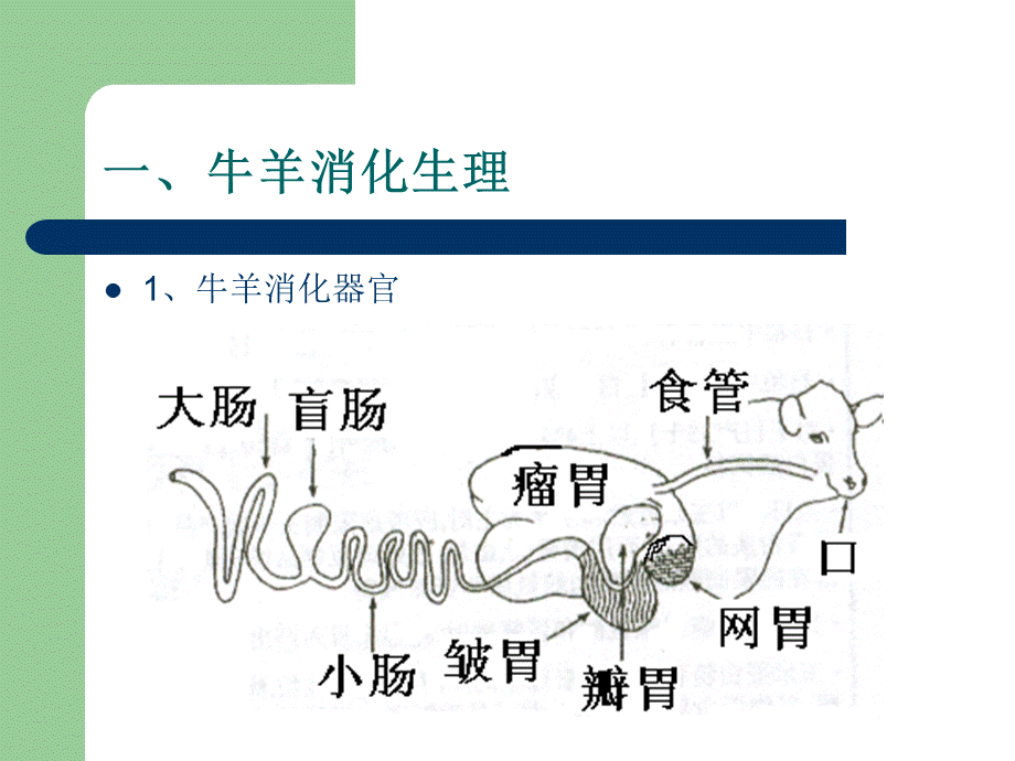 牛羊生产及牛羊疾病防治技术.ppt_第2页