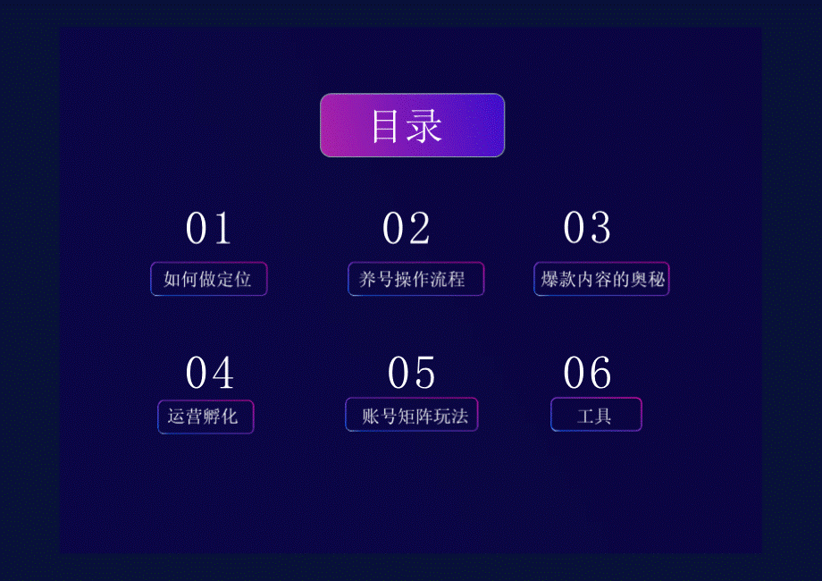 抖音月入30000+的方案PPT文档格式.ppt_第2页