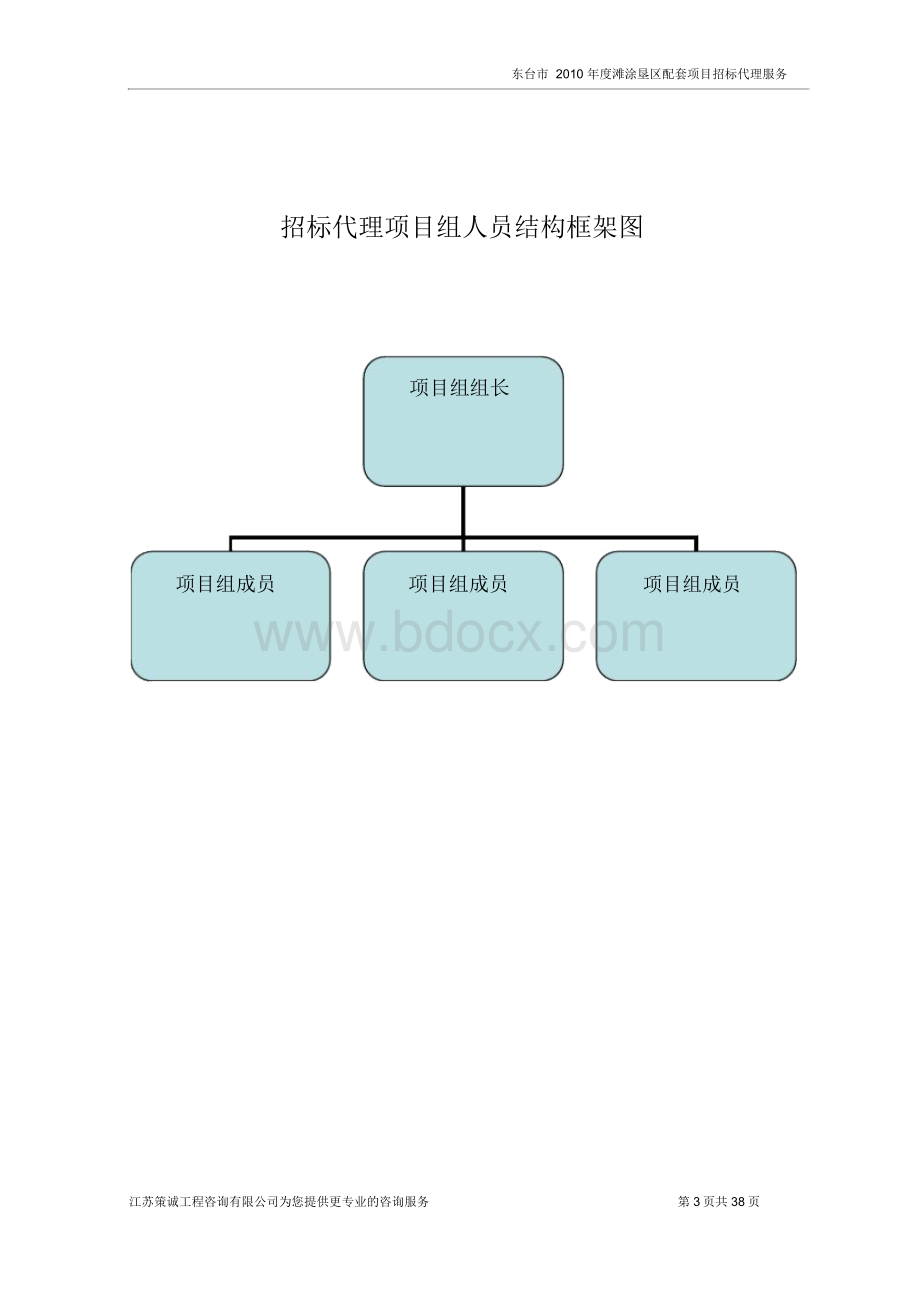 下载范例招标代理服务实施方案.docx_第3页