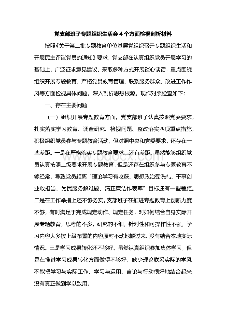 某某党支部班子专题教育组织生活会四个方面检视剖析材料.docx