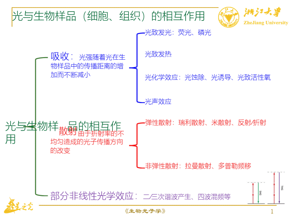 散射截面和散射系数.pptx_第2页