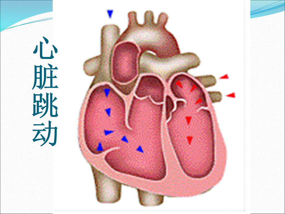 急性左心衰竭优质PPT.ppt_第3页