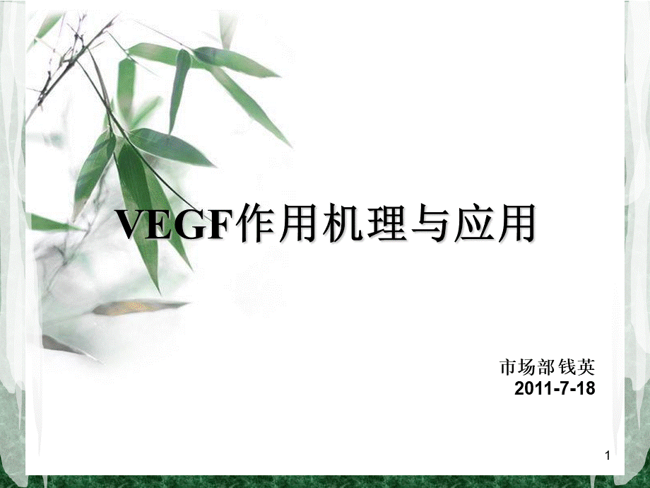 VEGF作用机理与应用PPT资料.ppt