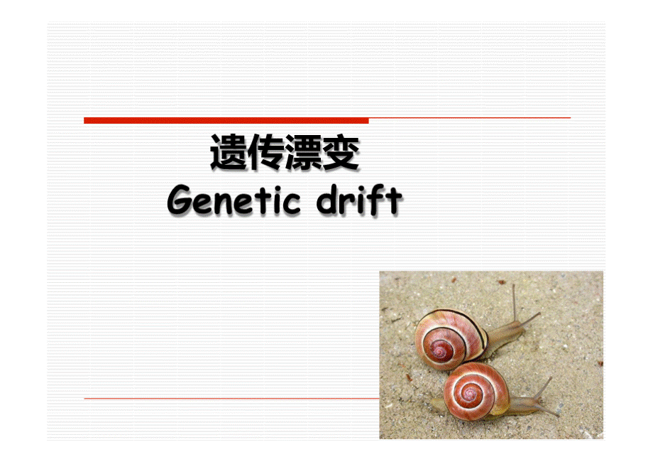 （进化生物学）遗传漂变-10章2015.pptx