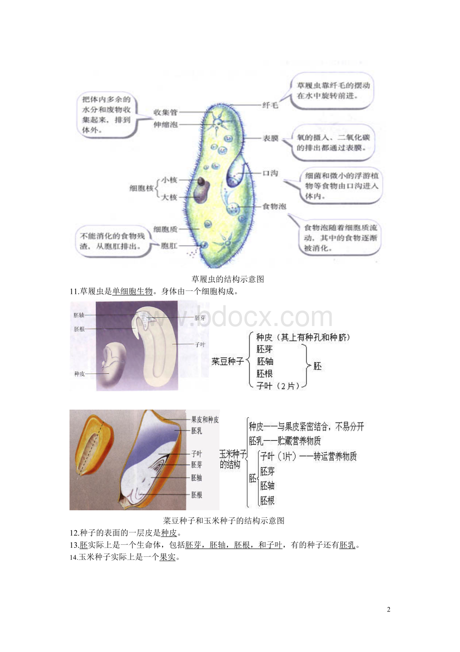 初中生物总复习重点图Word文档下载推荐.doc_第2页