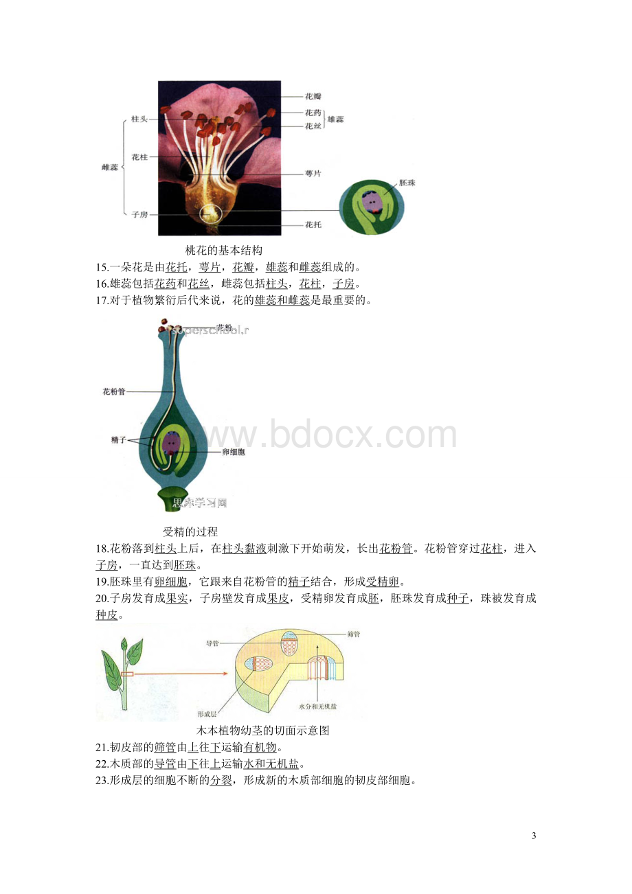 初中生物总复习重点图Word文档下载推荐.doc_第3页