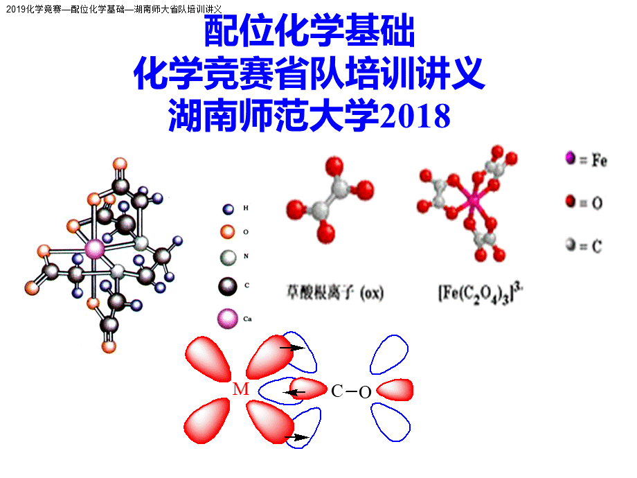 化学竞赛配位化学基础湖南师大省队培训讲义(PPT).ppt_第1页