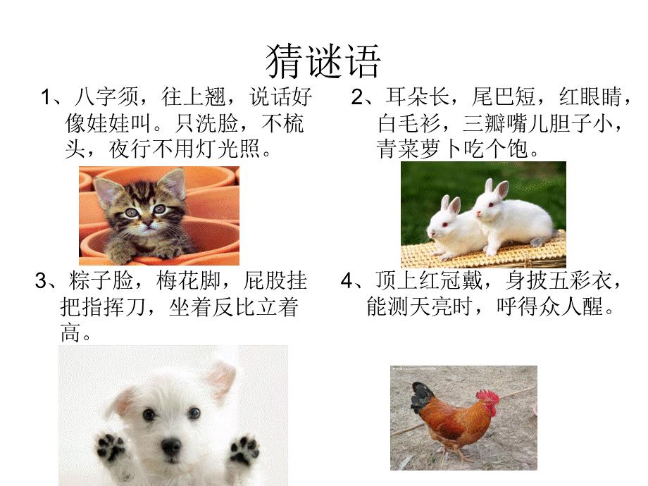 三年级动物描写作文课件.ppt_第3页