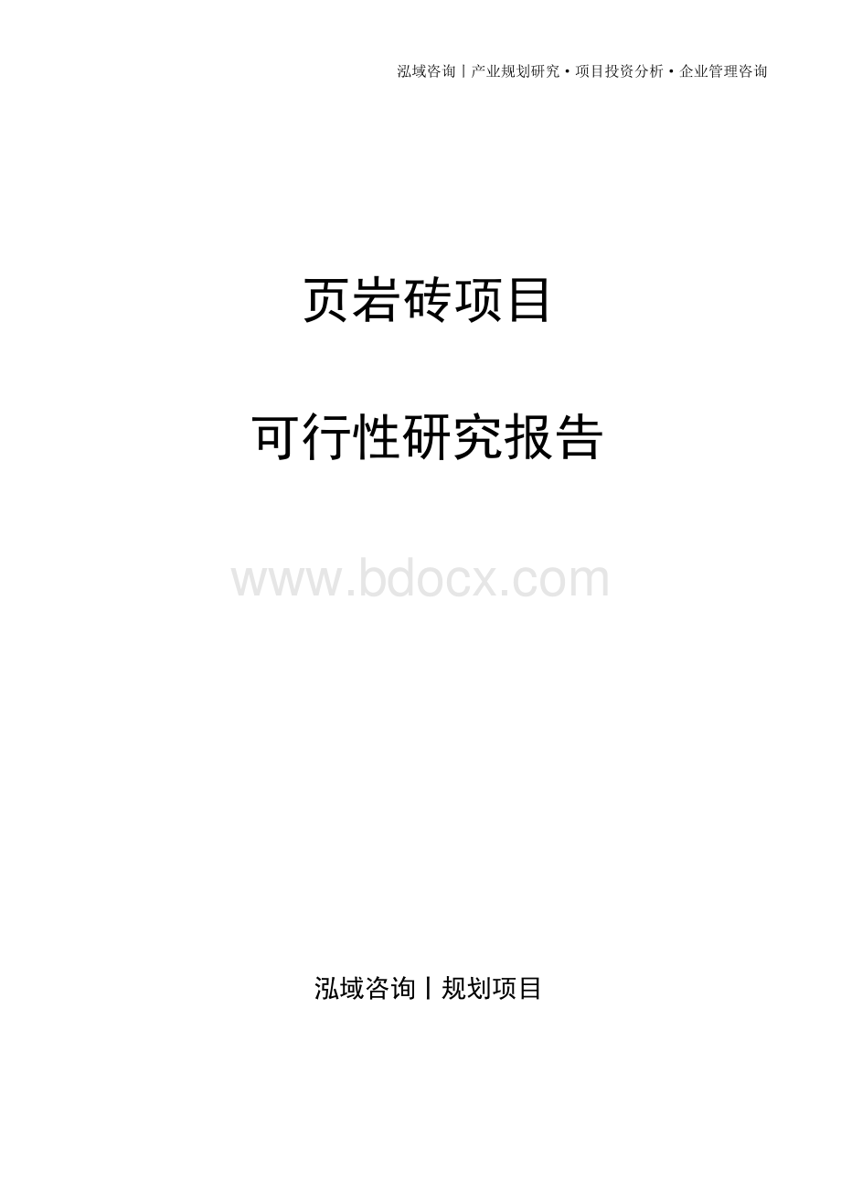 页岩砖项目可行性研究报告文档格式.docx_第1页