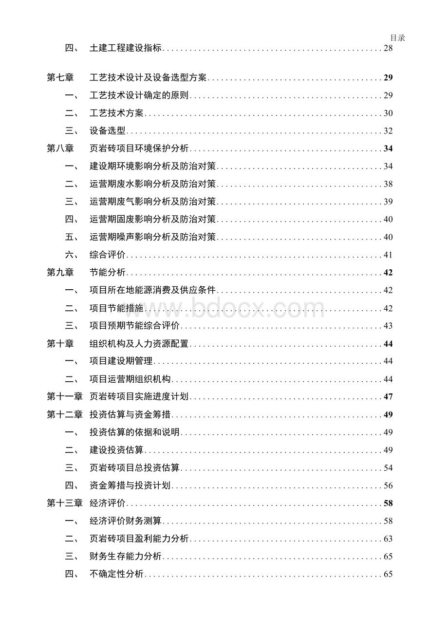 页岩砖项目可行性研究报告文档格式.docx_第3页