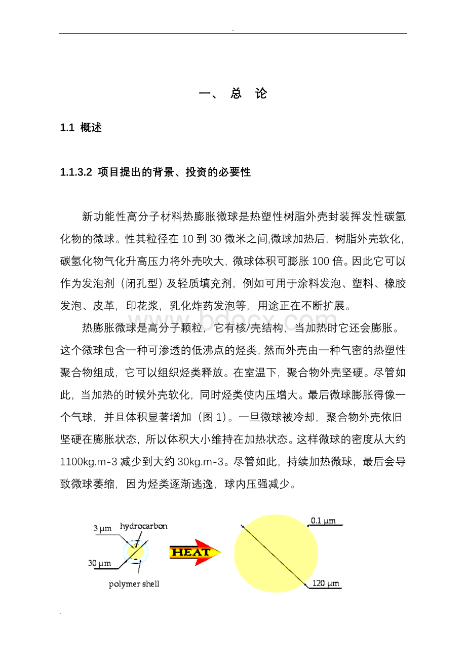 可膨胀发泡微球可行性研究报告Word格式文档下载.doc