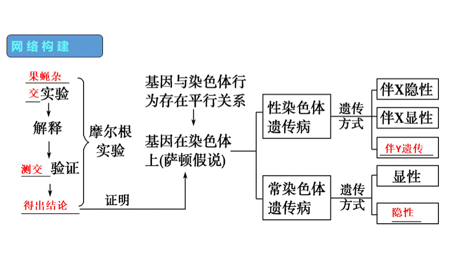 基因在染色体上(一轮复习)PPT格式课件下载.ppt_第2页