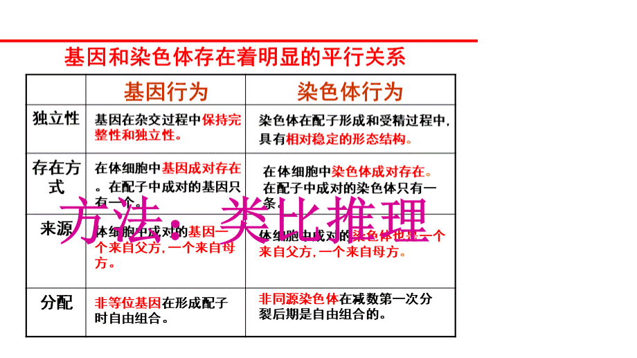 基因在染色体上(一轮复习)PPT格式课件下载.ppt_第3页