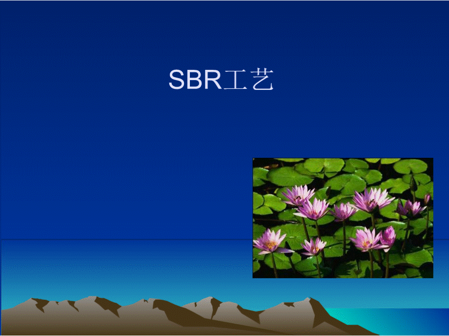 SBR工艺-经典.pptx_第1页