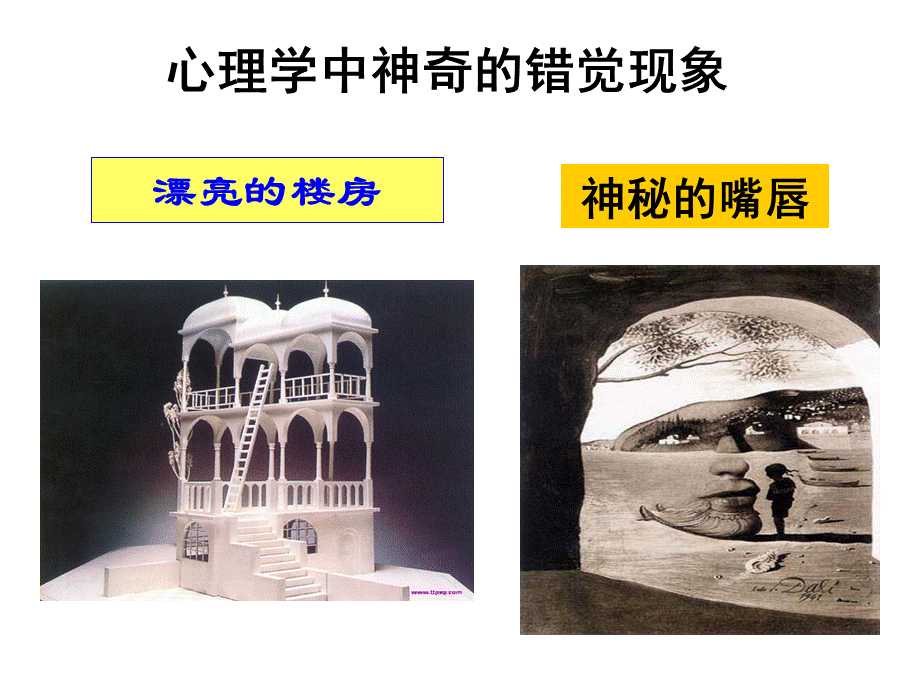 普通心理学.ppt_第2页