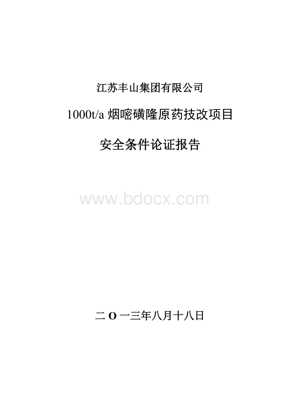 安全条件论证报告(号令).doc_第1页