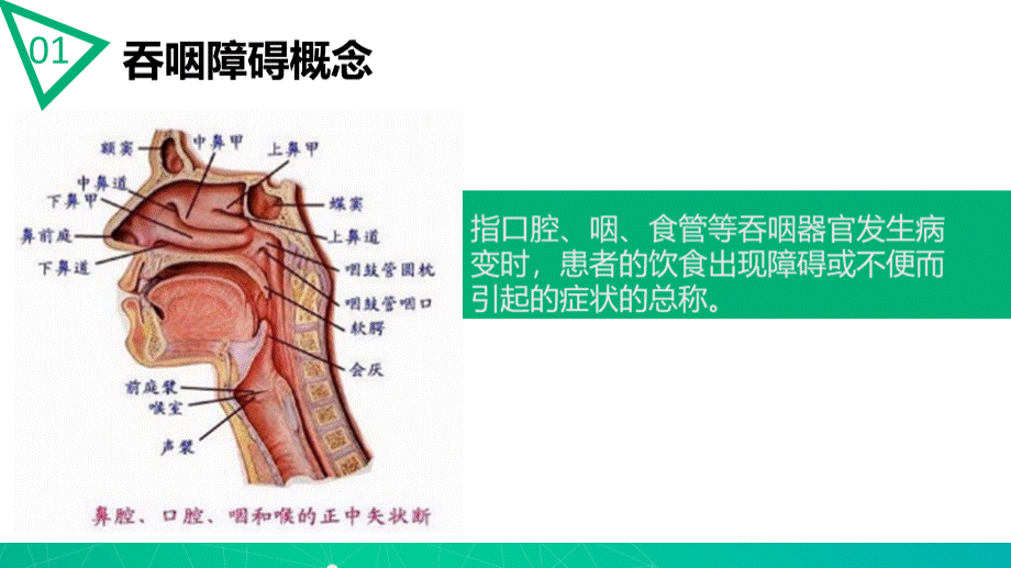 吞咽障碍.pptx_第3页