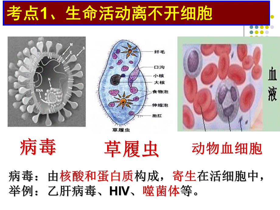 高二生物学考复习课件必修一按考纲要求编写.ppt_第3页