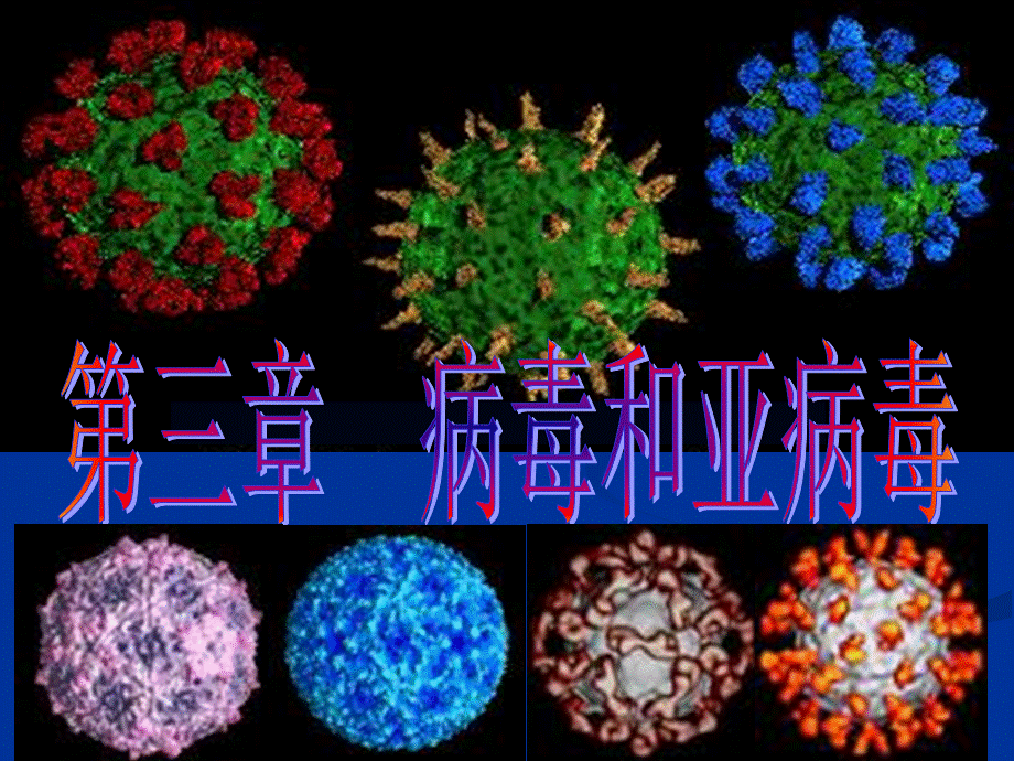 微生物学病毒与亚病毒PPT课件下载推荐.ppt