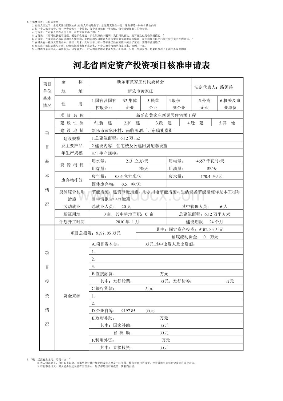 固定资产投资项目表格Word文档下载推荐.doc_第1页