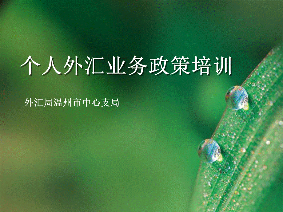 个人外汇业务政策培训.ppt