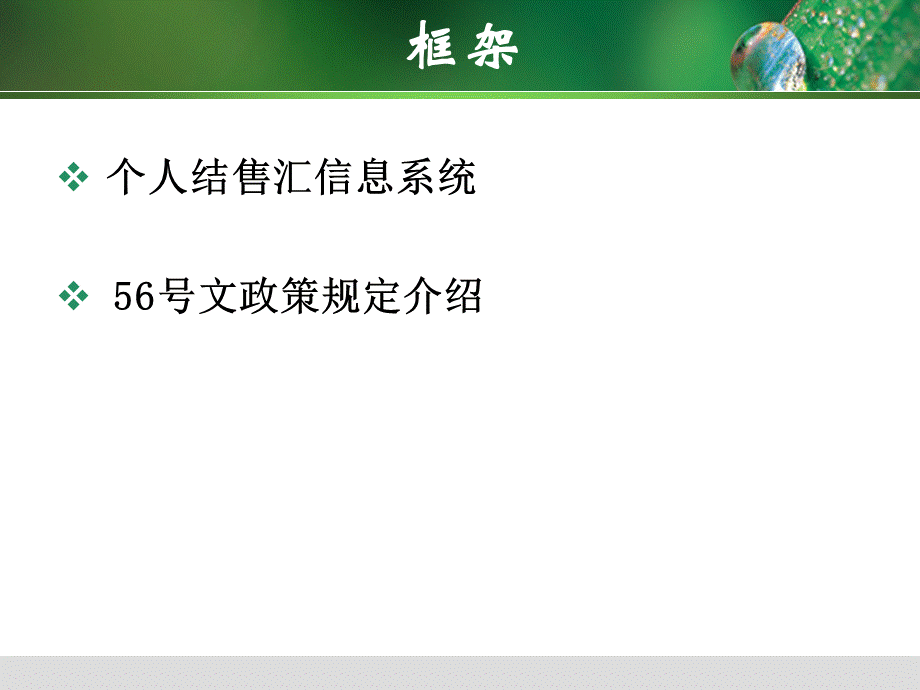 个人外汇业务政策培训.ppt_第2页