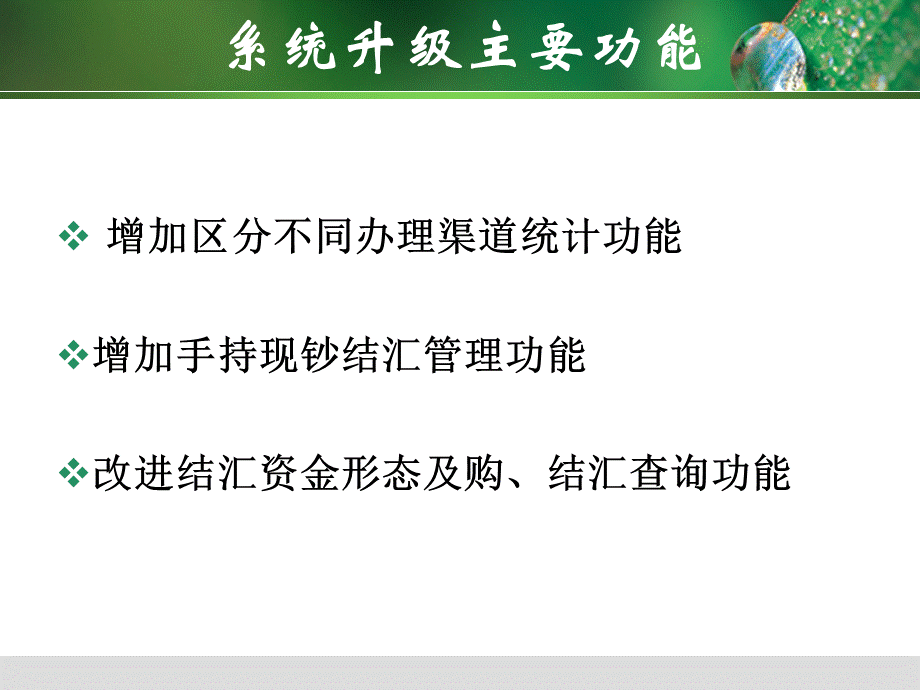 个人外汇业务政策培训.ppt_第3页