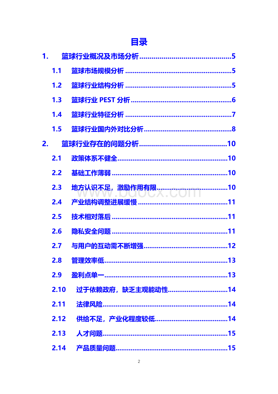 2020年篮球行业调研分析报告.docx_第2页